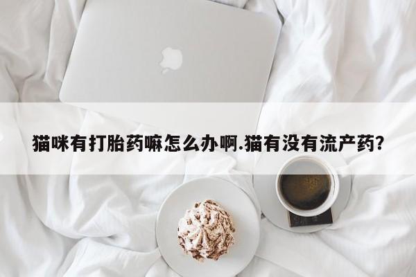 私人卖打胎药微信号猫咪有打胎药嘛怎么办啊.猫有没有流产药？