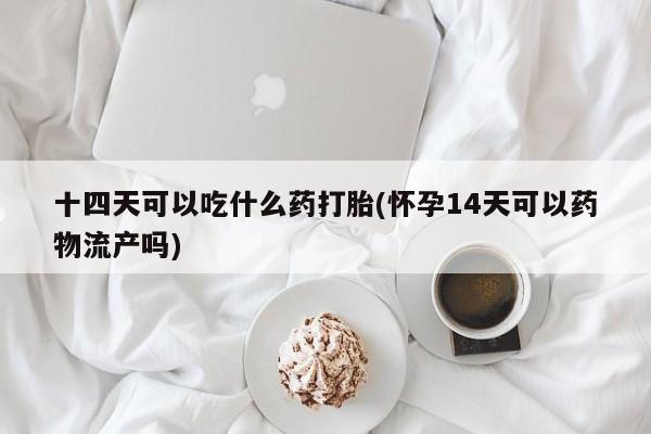 私人卖打胎药微信号十四天可以吃什么药打胎(怀孕14天可以药物流产吗)
